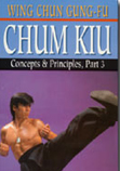 Wing Chun Gung-Fu Chum Kiu Concepts & Principles Part 3